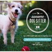 We did not find results for: Kase Havanese In Charlotte North Carolina Nc We Are A Family Of Havanese Dog