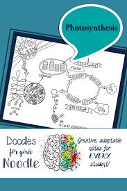Doodles For Your Noodle Photosynthesis Doodle Notes Photosynthesis Photosynthesis Lessons
