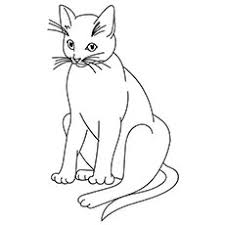 For kids & adults you can print cat or color online. Coloring Pages Big Cat
