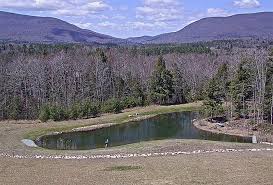 Maybe you would like to learn more about one of these? Photos The Orvis Pond Wakes Up Orvis News