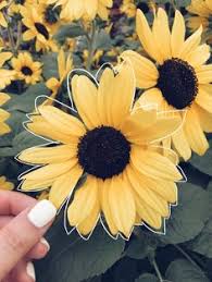 860 Aesthetic Yellow Ideas Yellow Aesthetic Yellow Aesthetic Yellow aesthetic wall art redbubble. 860 aesthetic yellow ideas yellow