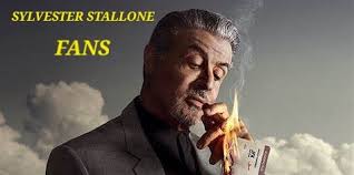 I need all movies of Slysvester Stallone,do I have them?