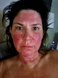 What are the considerations for owning a pet bird?