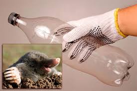 Check spelling or type a new query. Do It Yourself Mole Catcher From Plastic Bottles Make A Trap To Catch A Mole Alive