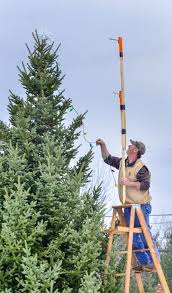 Enjoy the bayside children's choir, folsom jr. Gardiner Heralds The Holiday Season With Parade Of Lights Tree Lighting Centralmaine Com