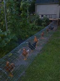 Pin Auf Garten Pflanzen Ideen