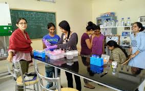 Azim premji university was established in 2010 by the azim premji foundation. Research With Undergraduate Students Indiabioscience