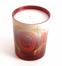 Diptyque Spice Candle Review Photos