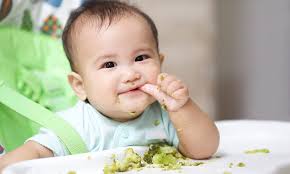 babies should be fed solid food from just 3 months daily