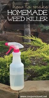 Check spelling or type a new query. How To Make Homemade Weed Killer One Crazy Mom