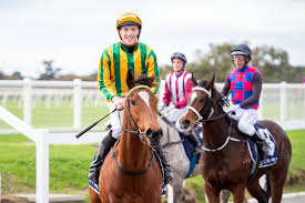 Scenic Lodge Thoroughbred Stud