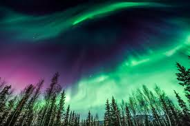 Dec 09, 2020 · the northern lights can be seen from september through april in the northern hemisphere and march through september in the southern hemisphere. Stream The Northern Lights From The Comfort Of Your Home