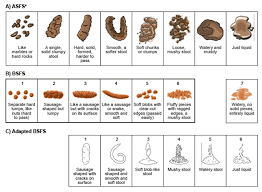 Development Of A New Instrument To Assess Stool Form And