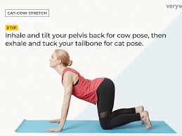 Slowly rotate your pelvis round, eight times clockwise,. How To Do Cat Cow Stretch Chakravakasana