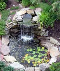Must Have Equipment For The Backyard Pond Handyman Tips Garden Pond Design Waterfalls Backyard Small Backyard Ponds