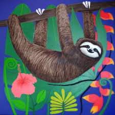 The Happy Three Toed Sloth Three Toed Sloth Sloth Love Is Free