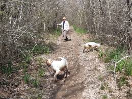 Vous pouvez réserver une session de tests psychotechniques pour le permis de conduire. Chasser En Haute Garonne Federation Des Chasseurs De Haute Garonne