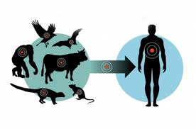 En ecologíaverde te lo explicamos de forma sencilla e incluimos vídeos explicativos. Dia Internacional De La Diversidad Biologica Naciones Unidas