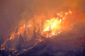 The bc wildfire service says more than 200 wildfires are burning in b.c. B C Wildfire App Has Alerts Bans And Air Quality Ratings All In One Place Maple Ridge News