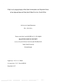 Image result for Chascanum adenostachyum