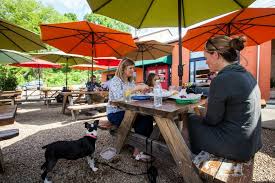 Check spelling or type a new query. Time For Taco Tuesday Eating Asheville Asheville Food Tours