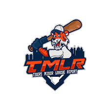 Detroit Tigers prospect position player overview: Outfield