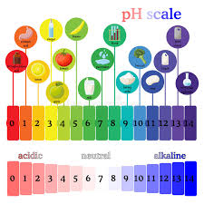 Ph Scale Litmus Paper Color Chart Stock Vector