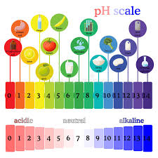 ph scale litmus paper color chart stock vector