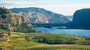 68 homes for sale in okanagan falls, bc are available on point2. Penticton Ok Falls Black Sage White Lake Penticton G O Bike Experiences