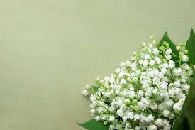 Check out our shows on the craft store (formerly hochanda) on wednesday 21st april at 9am with 1pm with our demonstrator dawny p! 82 527 Vintage Birthday Card Photos Free Royalty Free Stock Photos From Dreamstime