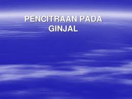 Maybe you would like to learn more about one of these? Pencitraan Pada Kelainan Sistem Urogenitalia Ppt Download