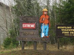 Everyone has heard the expression april showers bring may flowers. If April Showers Bring May Flowers What Do Mayflowers Bring Tuscarora Lodge Canoe Outfitters