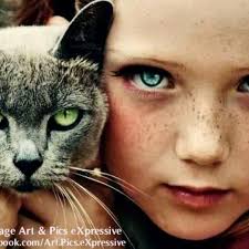 Stream Kareem El Halo music