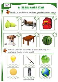 Ilkokuma Ders Etkinlikleri Panosundaki Pin