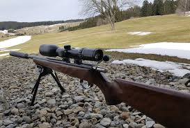 17 hmr gebraucht english