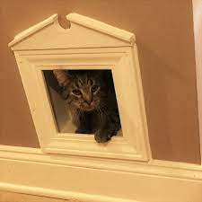 Cat Door Pet Door Dog Door Custom Sizes Sliding Glass Dog Door Cat Door Diy Dog Door