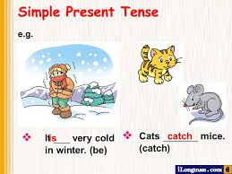 Simple Present Tense We Use This Tense To Talk About Habits Ppt Video Online Download