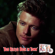 BUS RILEY'S BACK IN TOWN (1965) is a sexy, entertaining 60's gem, coming to  Blu-ray for the first time worldwide. 👙👔 A brooding ex-serviceman  (Michael Parks) comes home and spends time with
