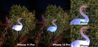 • investigate the functions of plant and animal cell organelles. Review Iphone 12 And Iphone 12 Pro Two Gems One Jewel Techcrunch