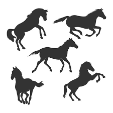 Beautiful Horse Silhouette Graphic Design Template Set Horse Clipart Black And White Png Horse Png And Vector With Transparent Background For Free Download Horse Silhouette Graphic Design Templates Animal Silhouette