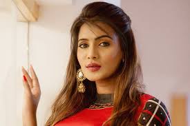 Image result for meera mithun