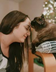 Coping with loss of beloved cat