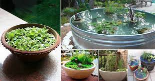 A water garden needs full sun for at least six hours per day. 13 Peaceful Diy Container Water Garden Ideas For Container Gardeners Balcony Garden Web