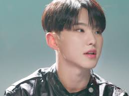 HOMINIS（ホミニス）