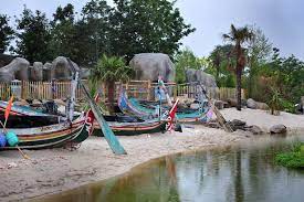 Chester zoo was opened in 1931 by george mottershead and his family. The Islands At Chester Zoo Review Emily Heward Manchester Evening News