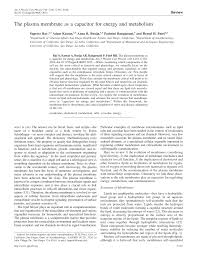 We did not find results for: Pdf The Plasma Membrane As A Capacitor For Energy And Metabolism