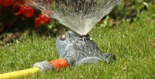 We did not find results for: Video Installer Un Arrosage Goutte A Goutte M6 Deco Fr