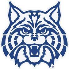 Arizona Wildcats Sign 10in Wild Cats Arizona Wildcats Logo Wildcats Logo