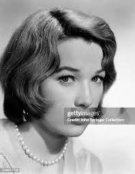 3,436 John Shirley Stock Photos, High-Res Pictures, and Images