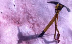 Blood snow blutschnee red snow blutschnee watermelon snow. Outdoor Wissen Blutschnee Der Neue Alpenkrimi Wikommunity